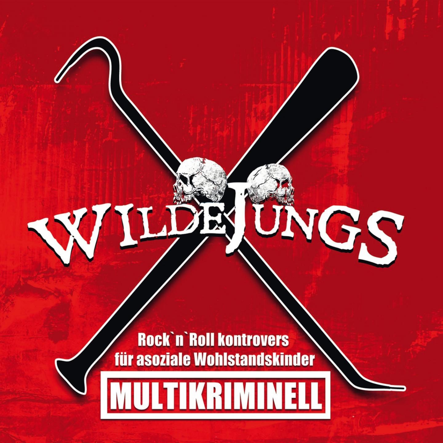 Multikriminell