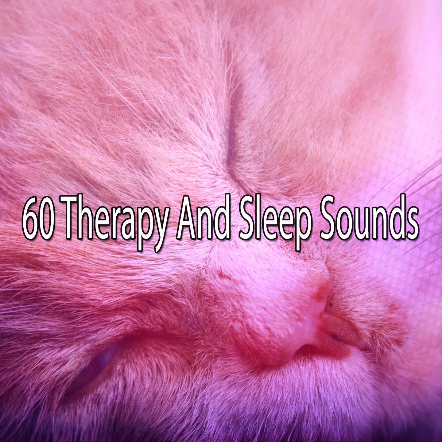 60 Therapy And Sleep Sounds专辑