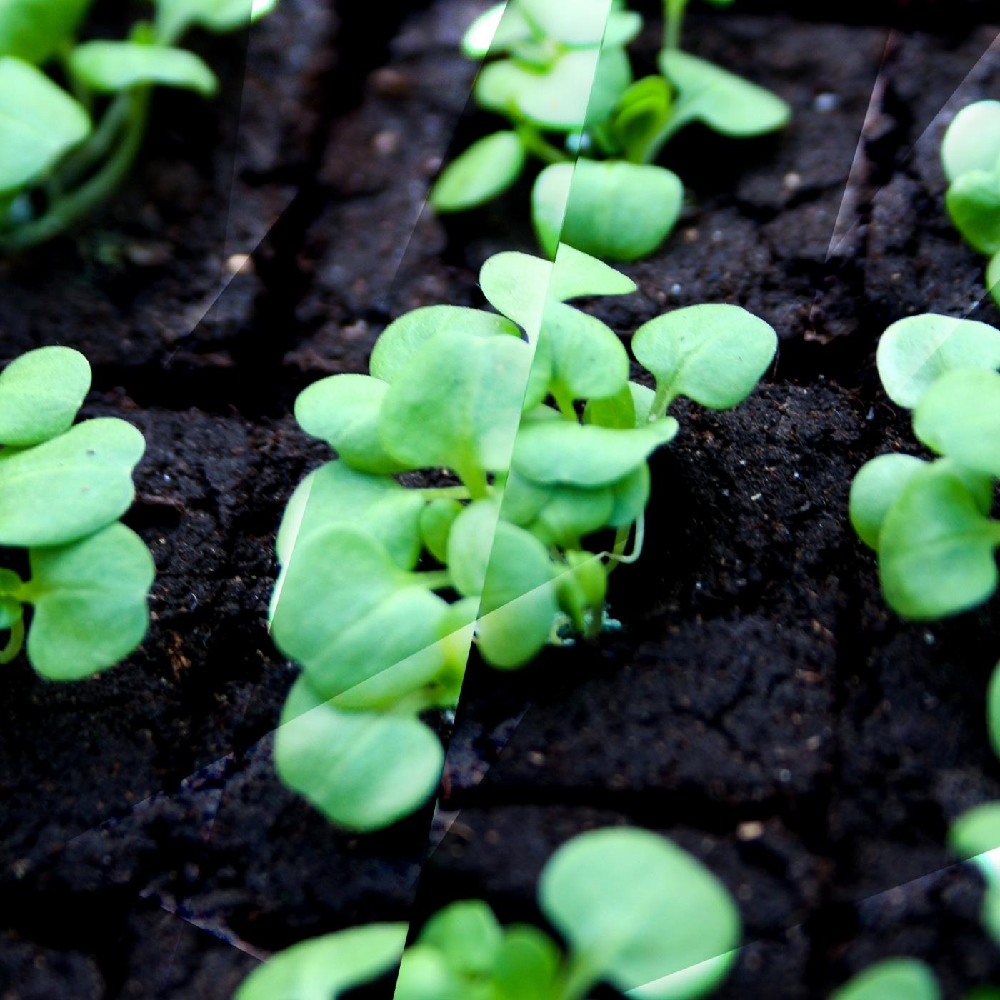 Soki Nyha Ten (Original Mix)