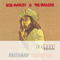 Positive Vibrations - Bob Marley and The Wailers (PH karaoke) 带和声伴奏