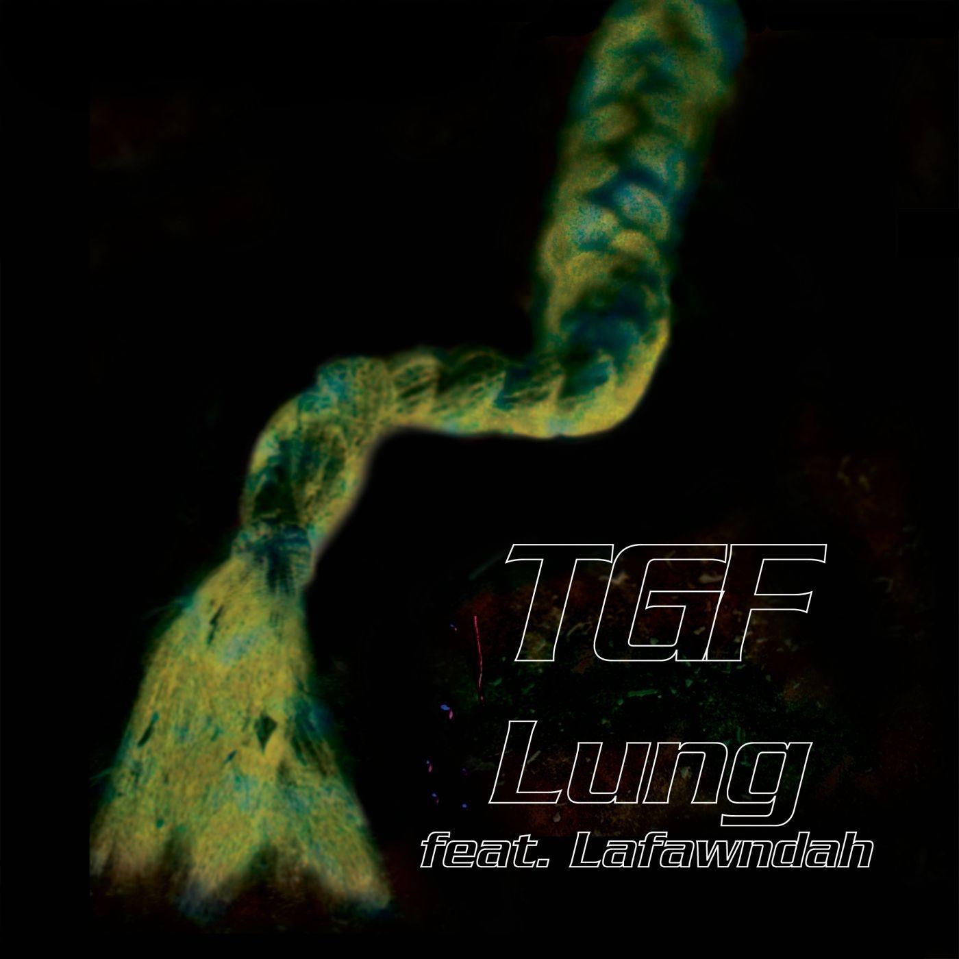 Lung - Single