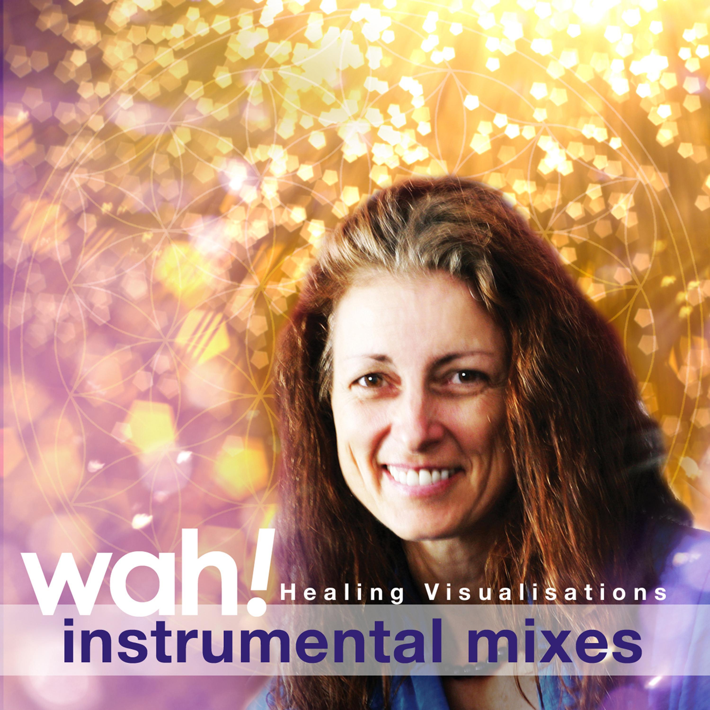 Healing Visualisations (Instrumental Mixes)