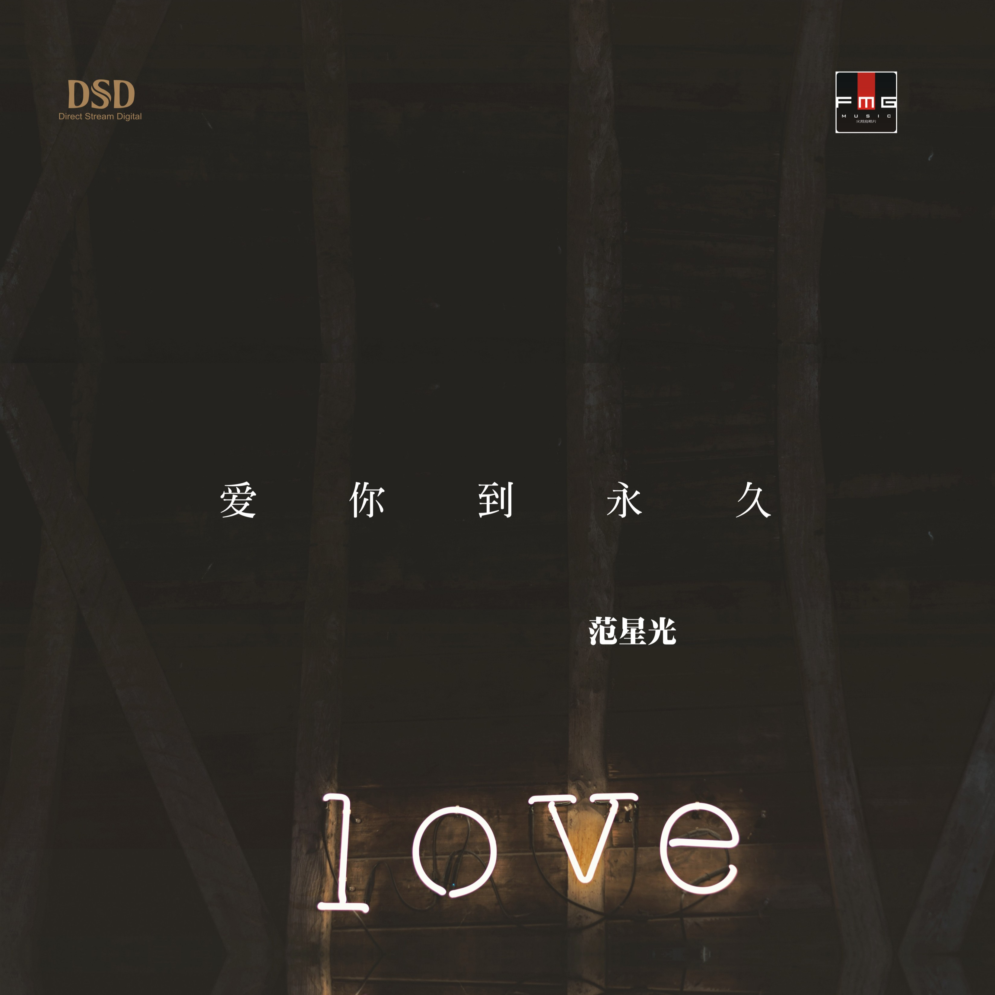 爱你到永久