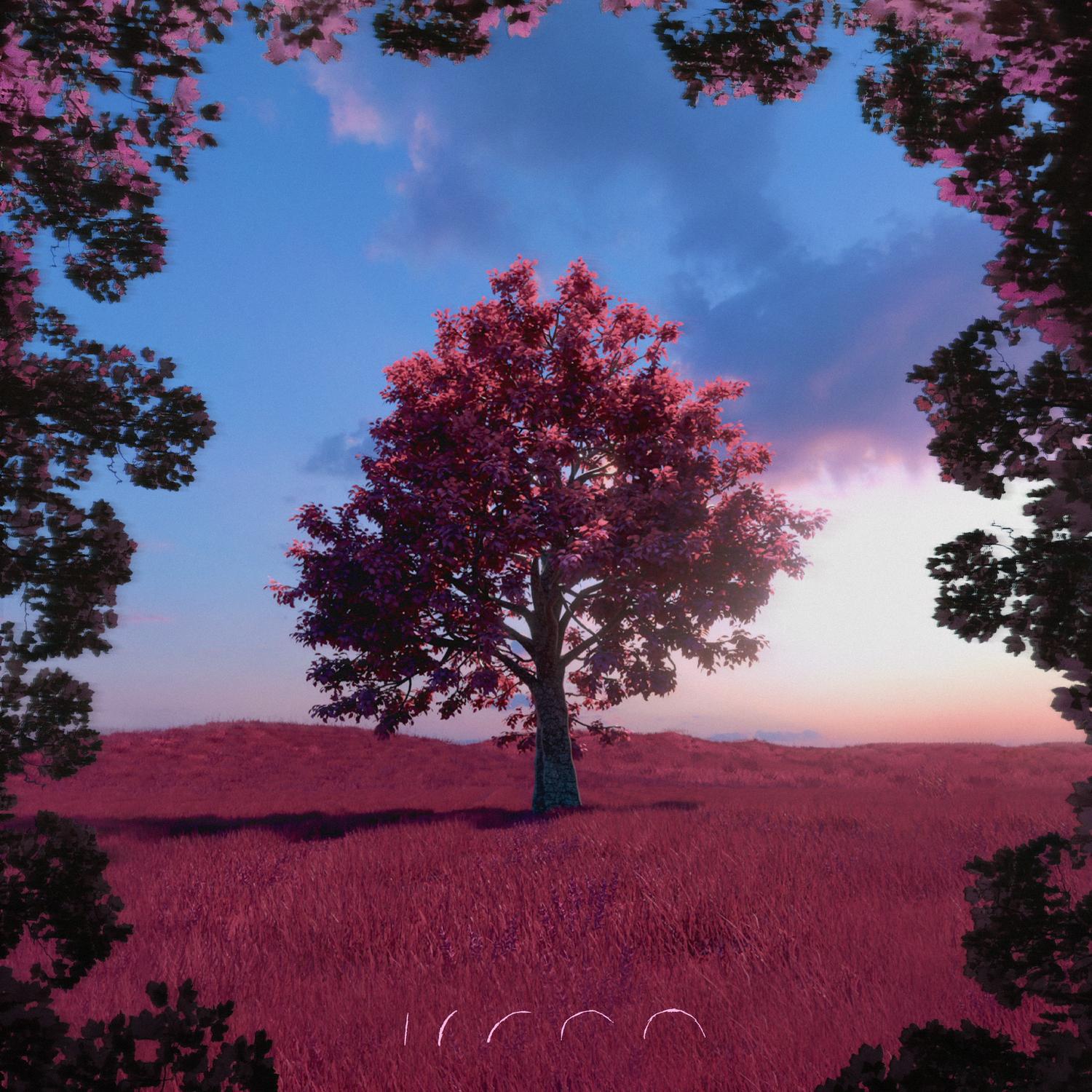 Let Me in Frame (Former Hero Club Version)