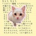 超英俊