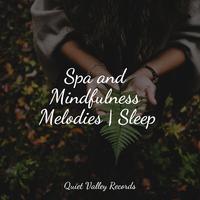 Spa and Mindfulness Melodies | Sleep