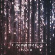 DJ何鹏舞曲精选集24