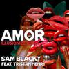 Sam Blacky - Amor (feat. Tristan Henry) (Illusionize Remix)