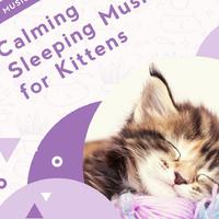 Music for Kittens资料,Music for Kittens最新歌曲,Music for KittensMV视频,Music for Kittens音乐专辑,Music for Kittens好听的歌