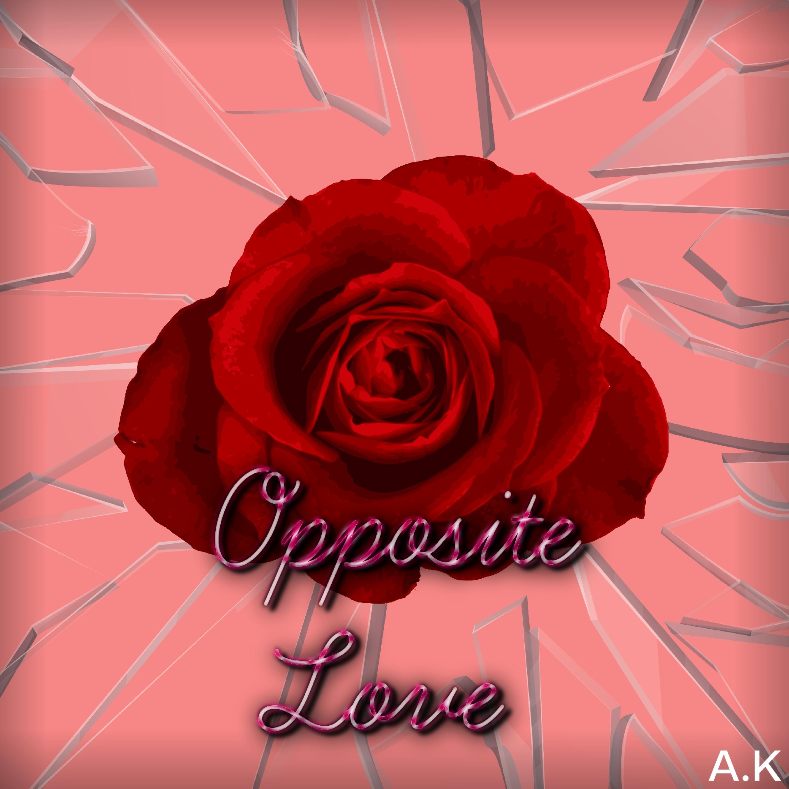 Opposite Love