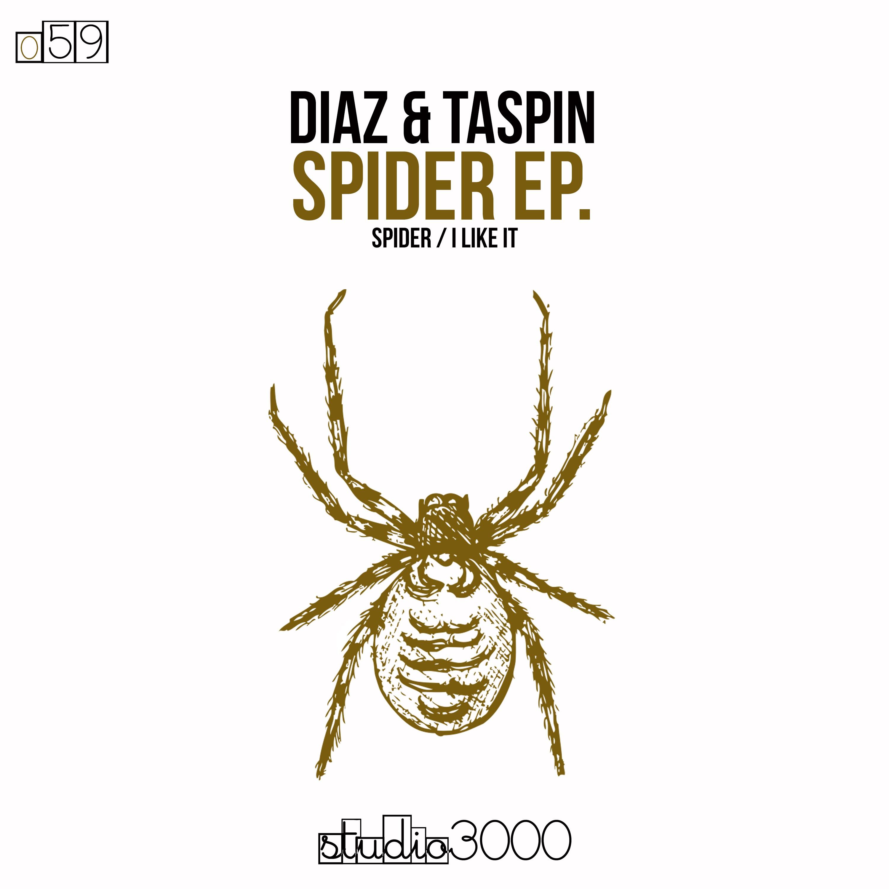 Spider