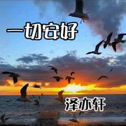 再见（DJ版）