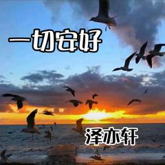 空城（DJ版）