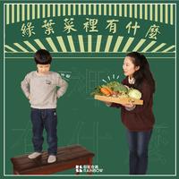 绿叶菜里有什么 (现场版) - 上海彩虹室内合唱团 伴奏 高品质