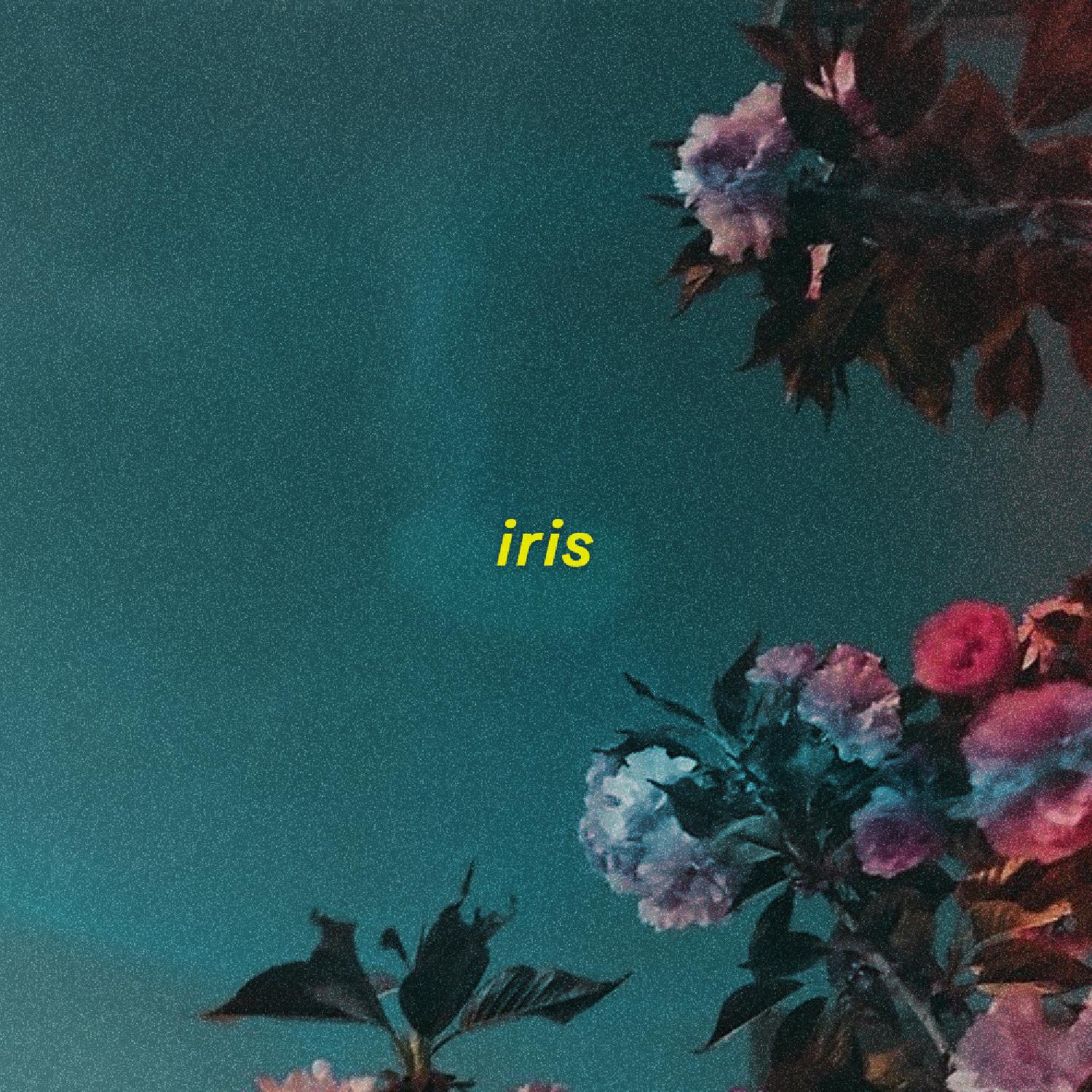 iris