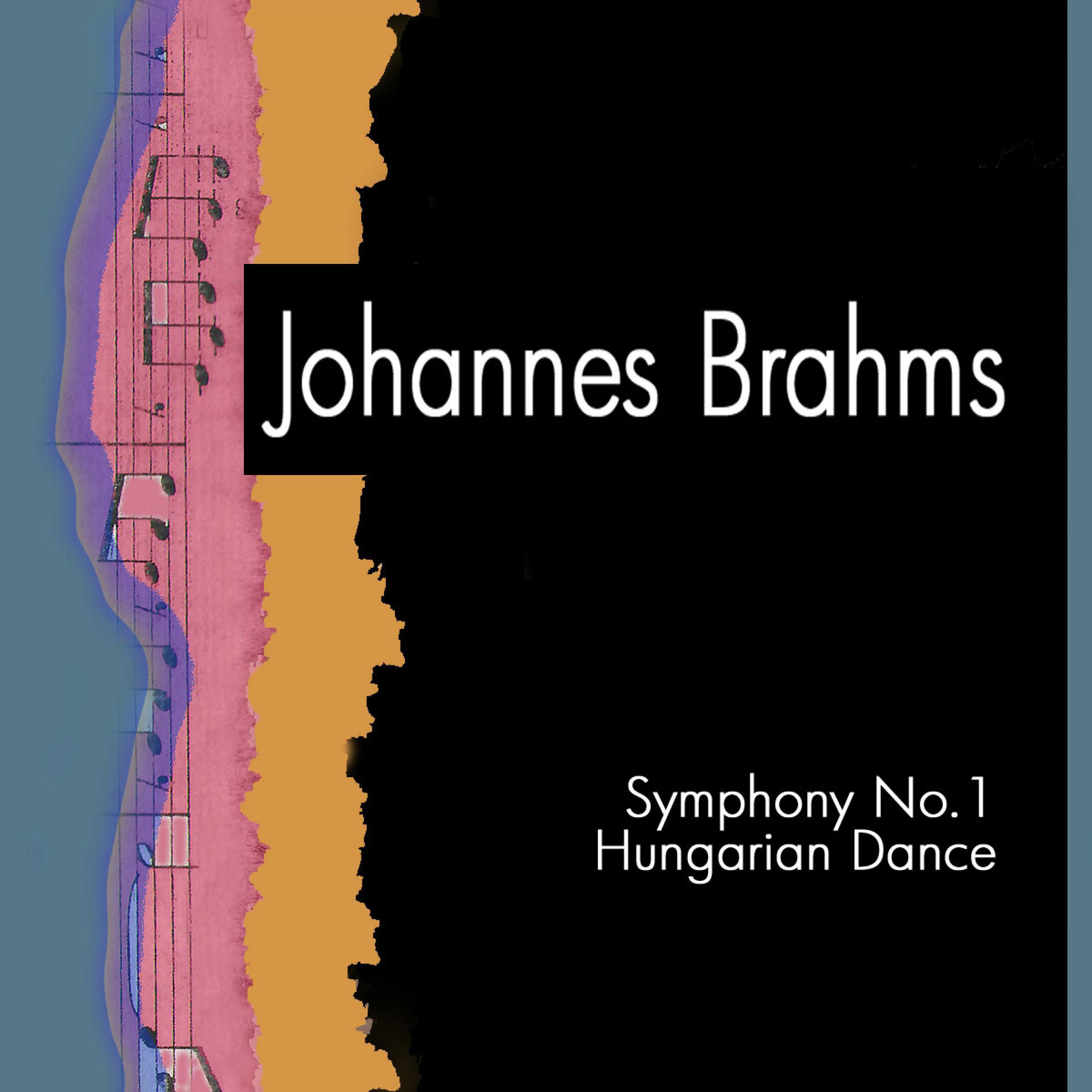 Hungarian Dance No.19: In B Minor