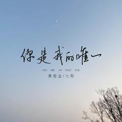 你是我的唯一 (伴奏)