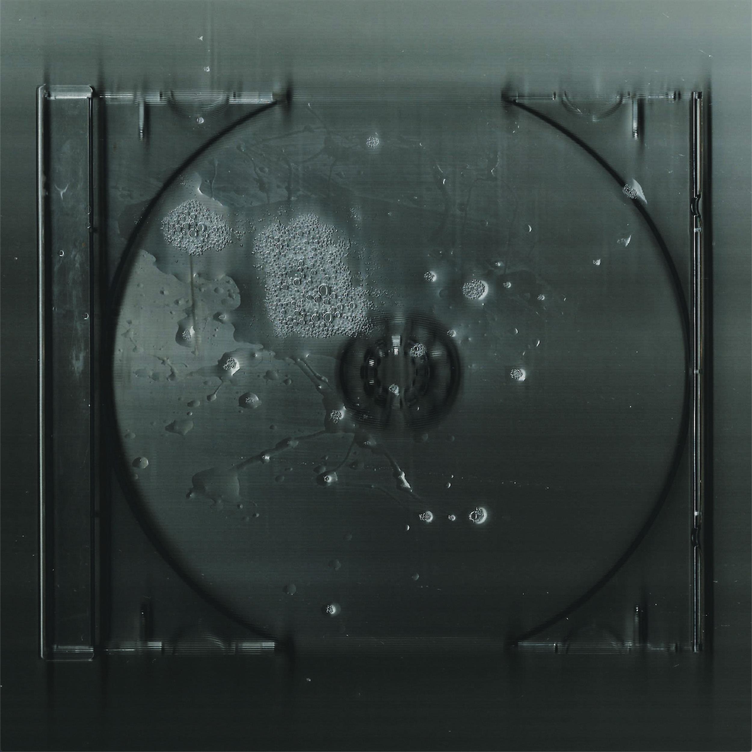 True Attitude Forever