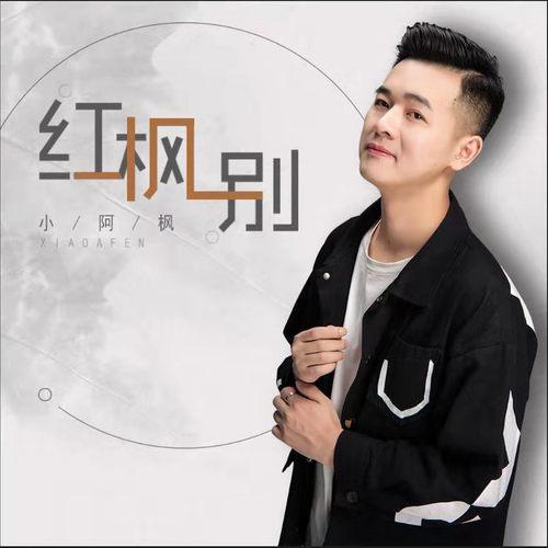 小阿枫歌曲封面