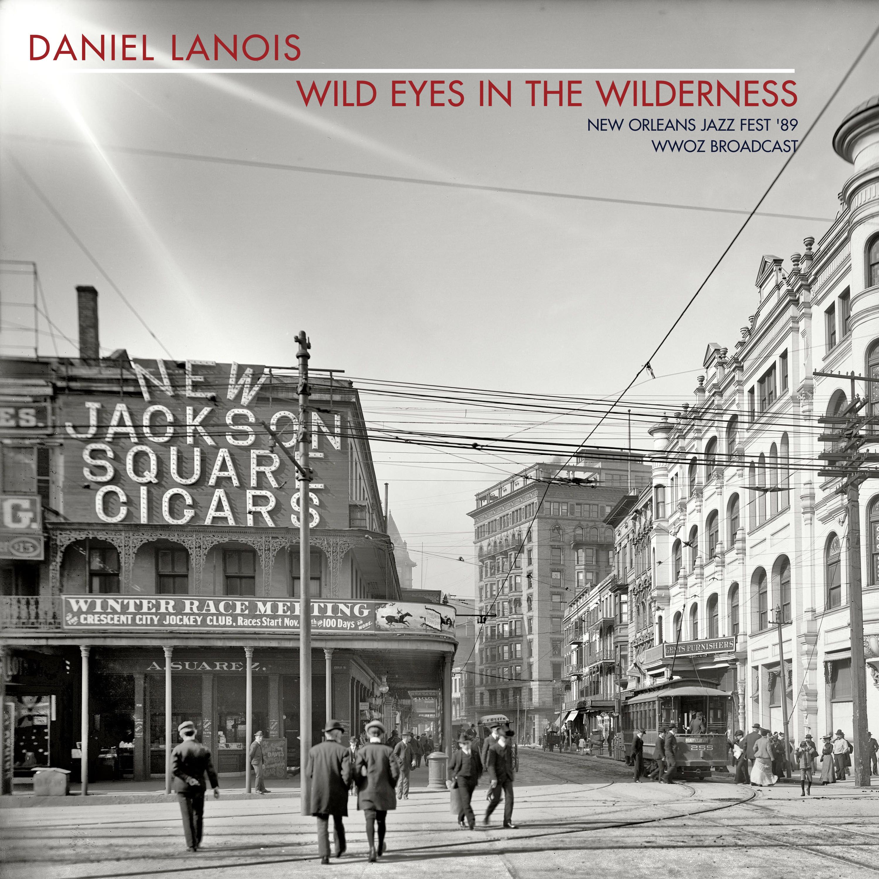 Wild Eyes In The Wilderness