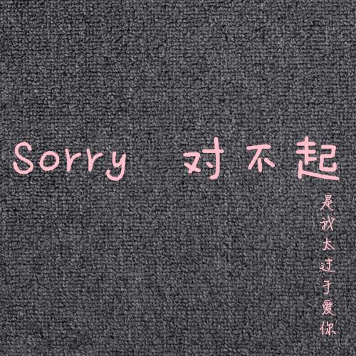 Sorry对不起专辑