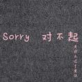 Sorry对不起