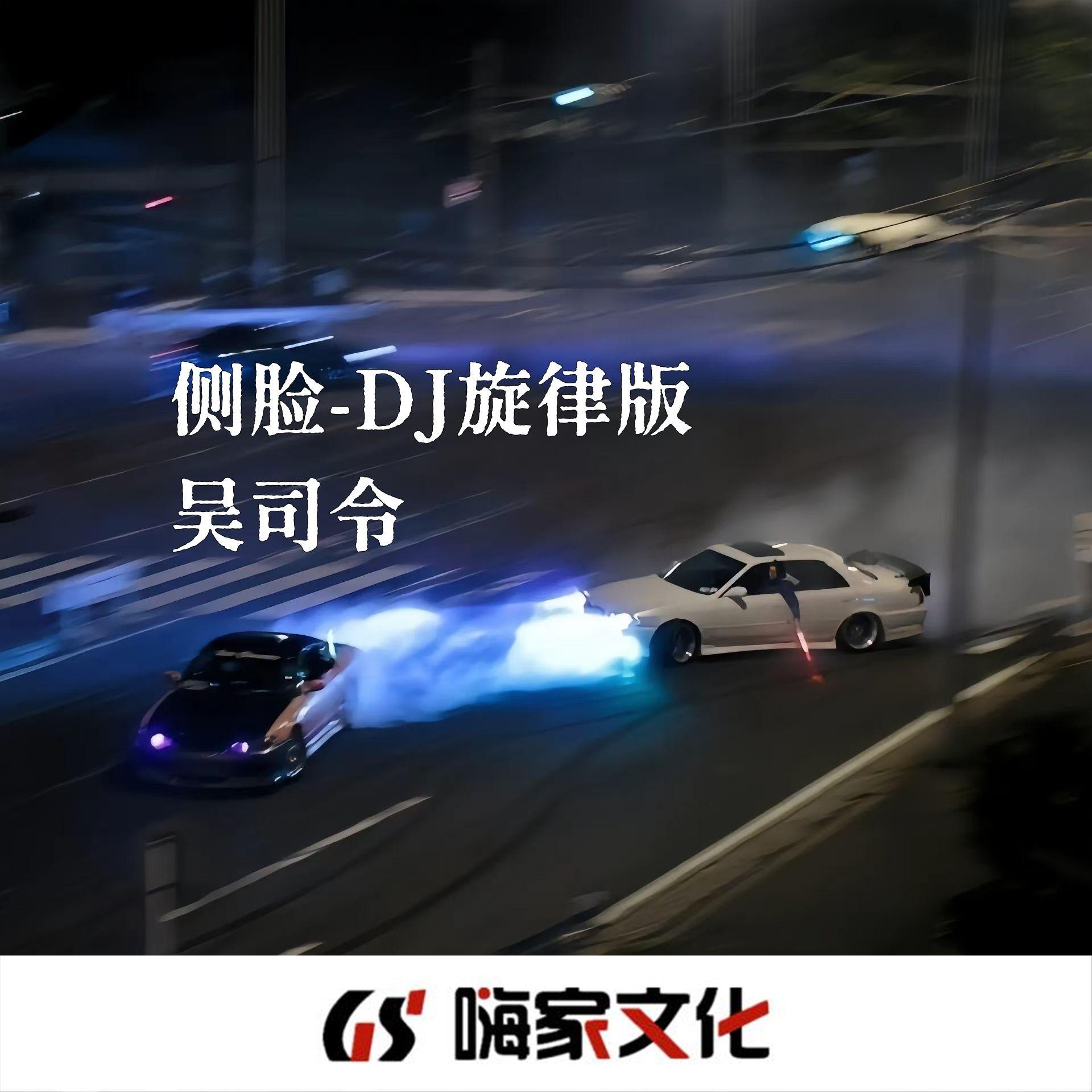 侧脸（DJ旋律版）