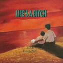 Life's a bitch专辑