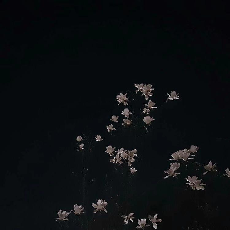 吾/悟