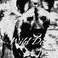 Wild Dog(野犬)