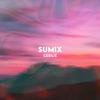 Sumix - Never The Right