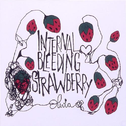 Internal Bleeding Strawberry专辑