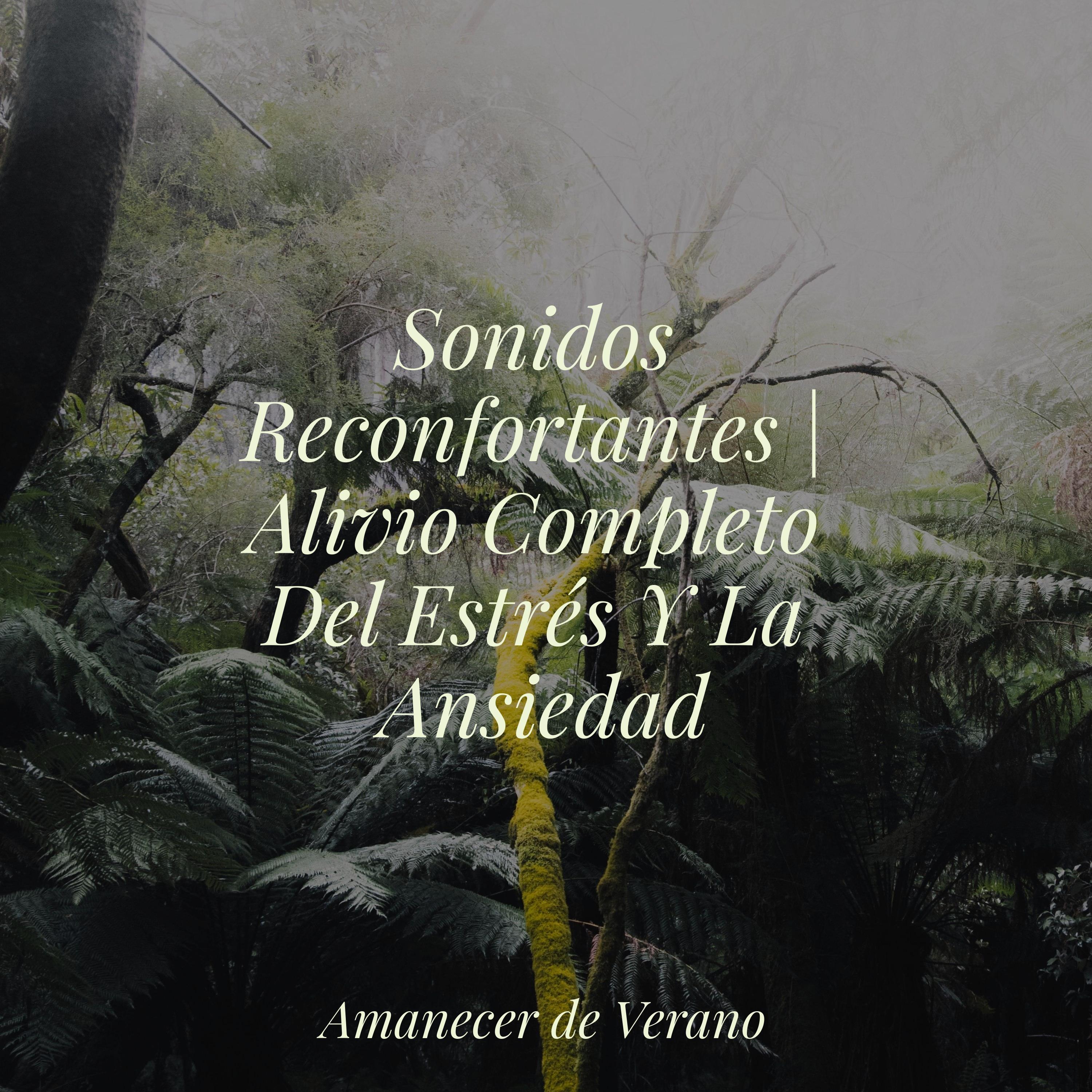 Sonidos Reconfortantes | Alivio Completo Del Estrés Y La Ansiedad