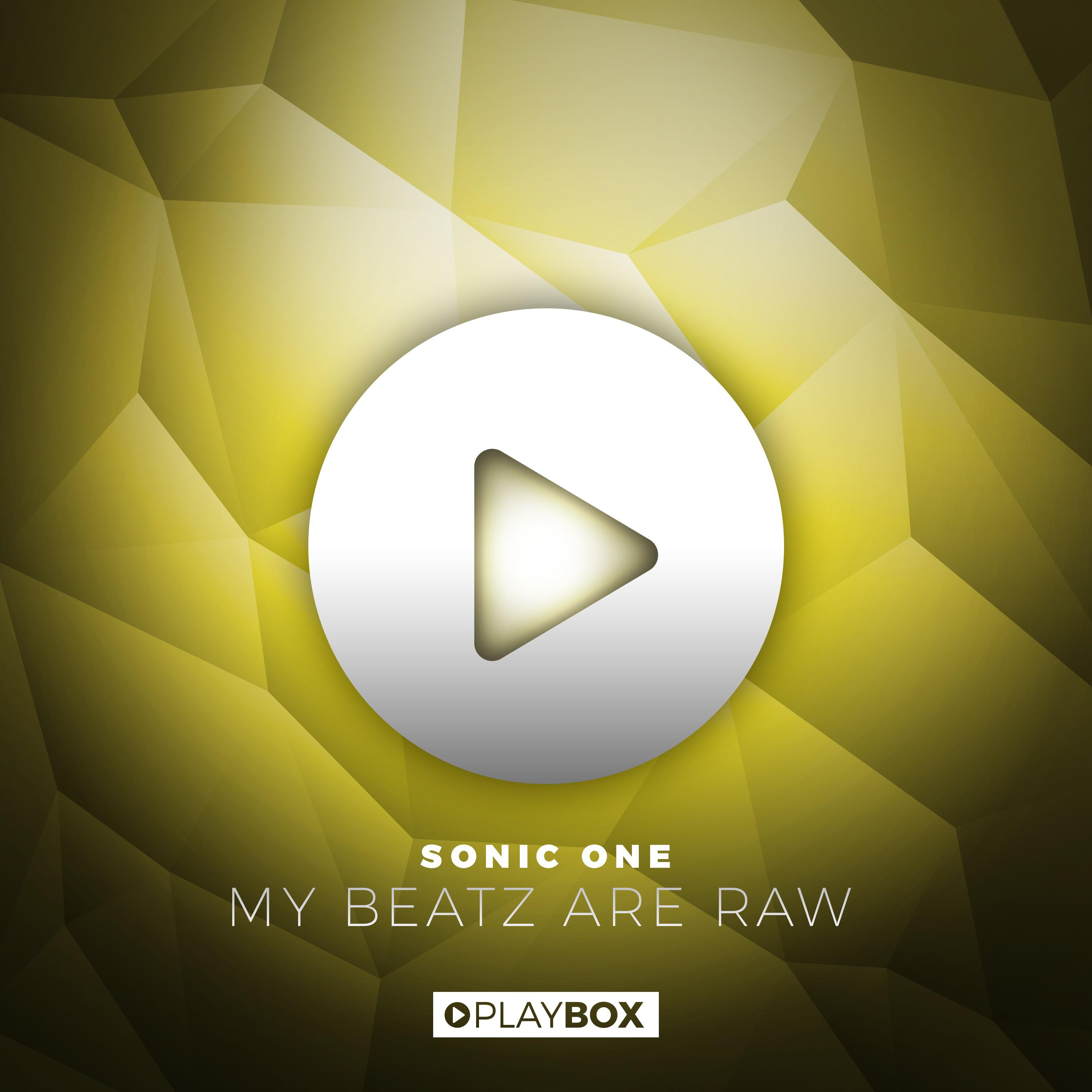Sonic One - My Beatz Are Raw (Vion Konger Radio Edit)