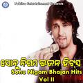 Sonu Nigam Bhajan Hits, Vol. 2