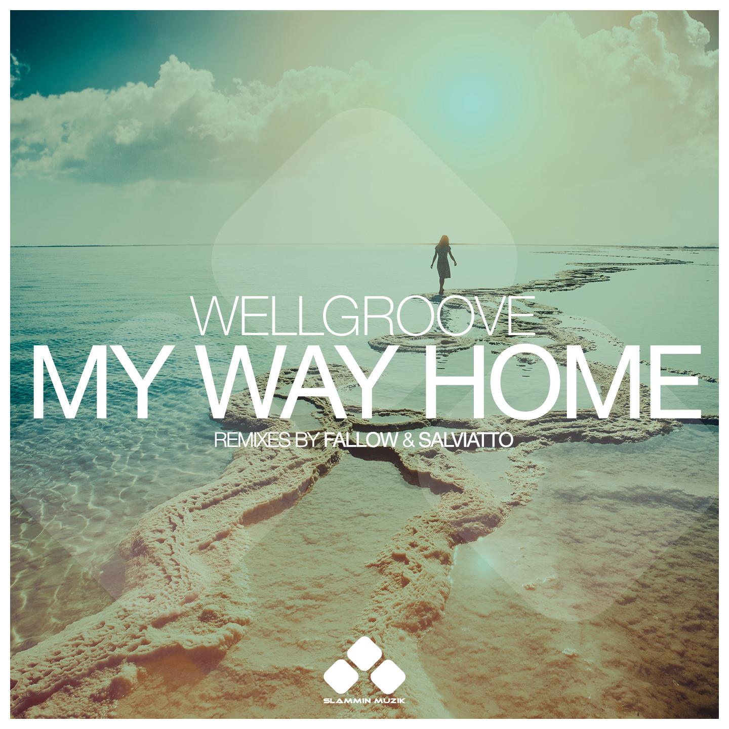 WellGroove - My Way Home (Salviatto Remix)