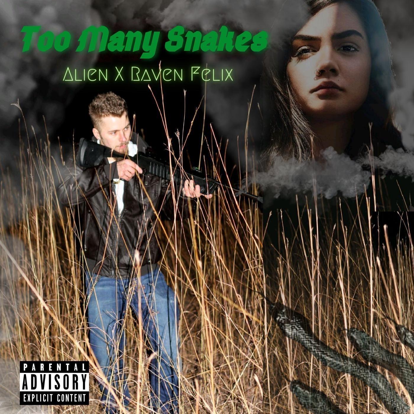 Too Many Snakes (feat. Raven Felix)