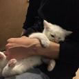 等风也等你
