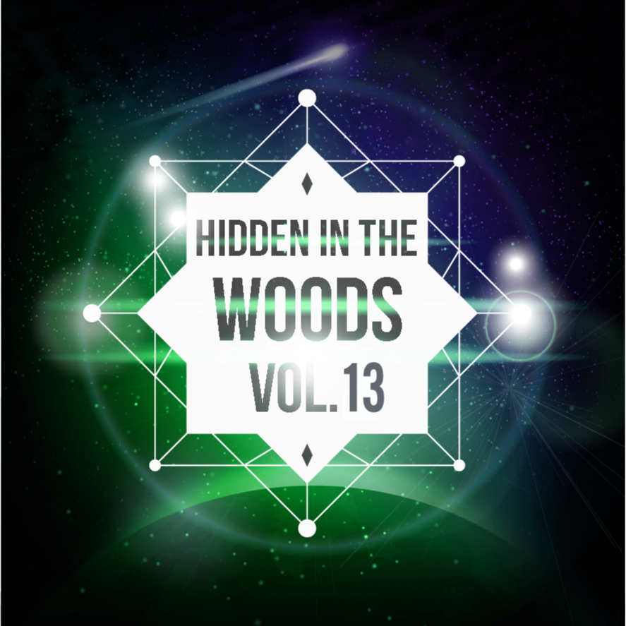 Hidden In The Woods Vol.13专辑