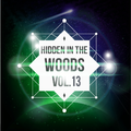 Hidden In The Woods Vol.13