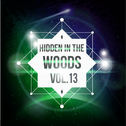 Hidden In The Woods Vol.13