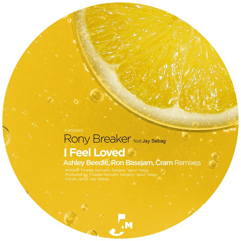 I Feel Loved (Ashley Beedle Vox Mix) - Jay Sebag/Rony Breaker - 单曲 - 网易云音乐