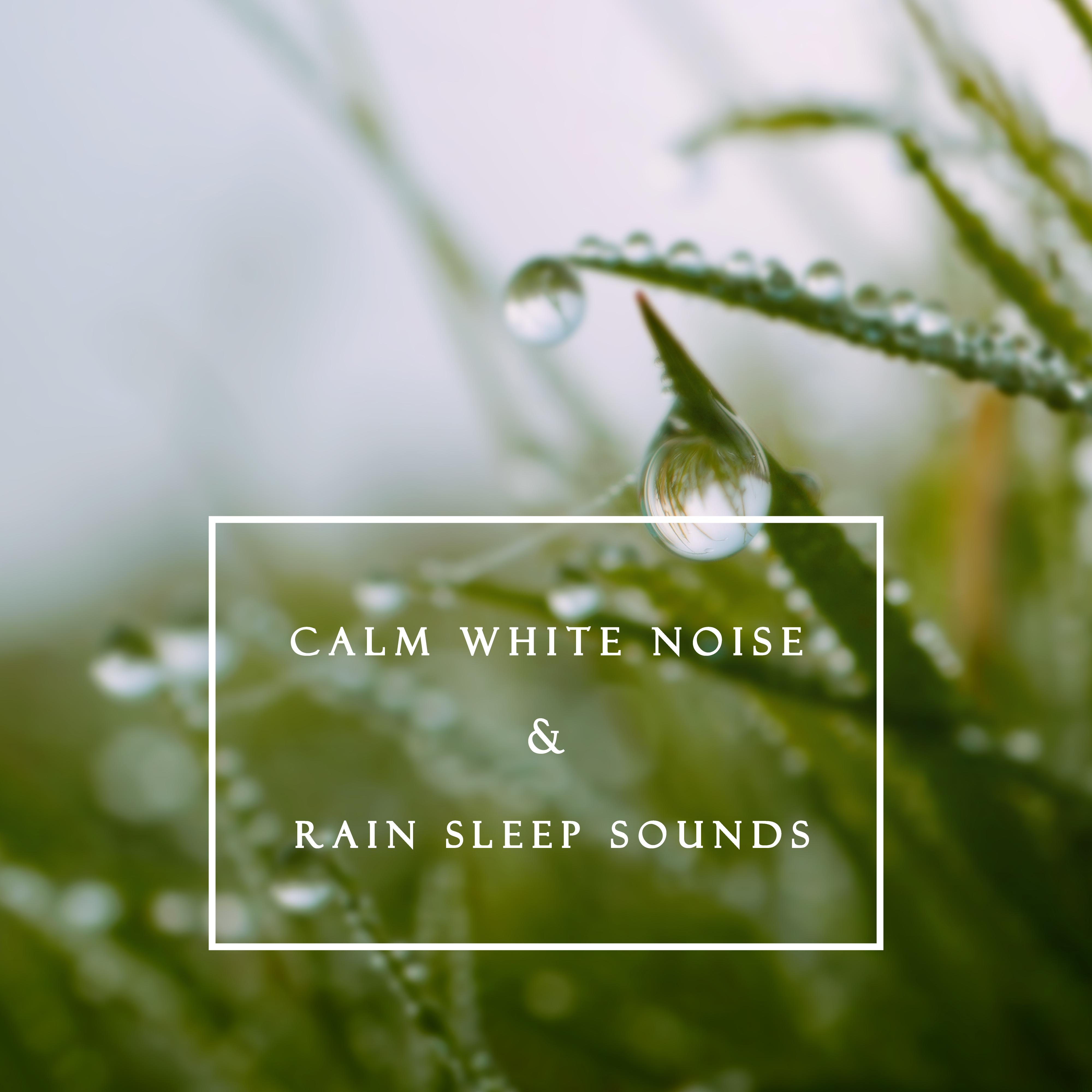雨林白噪音: 安稳·舒眠·大自然