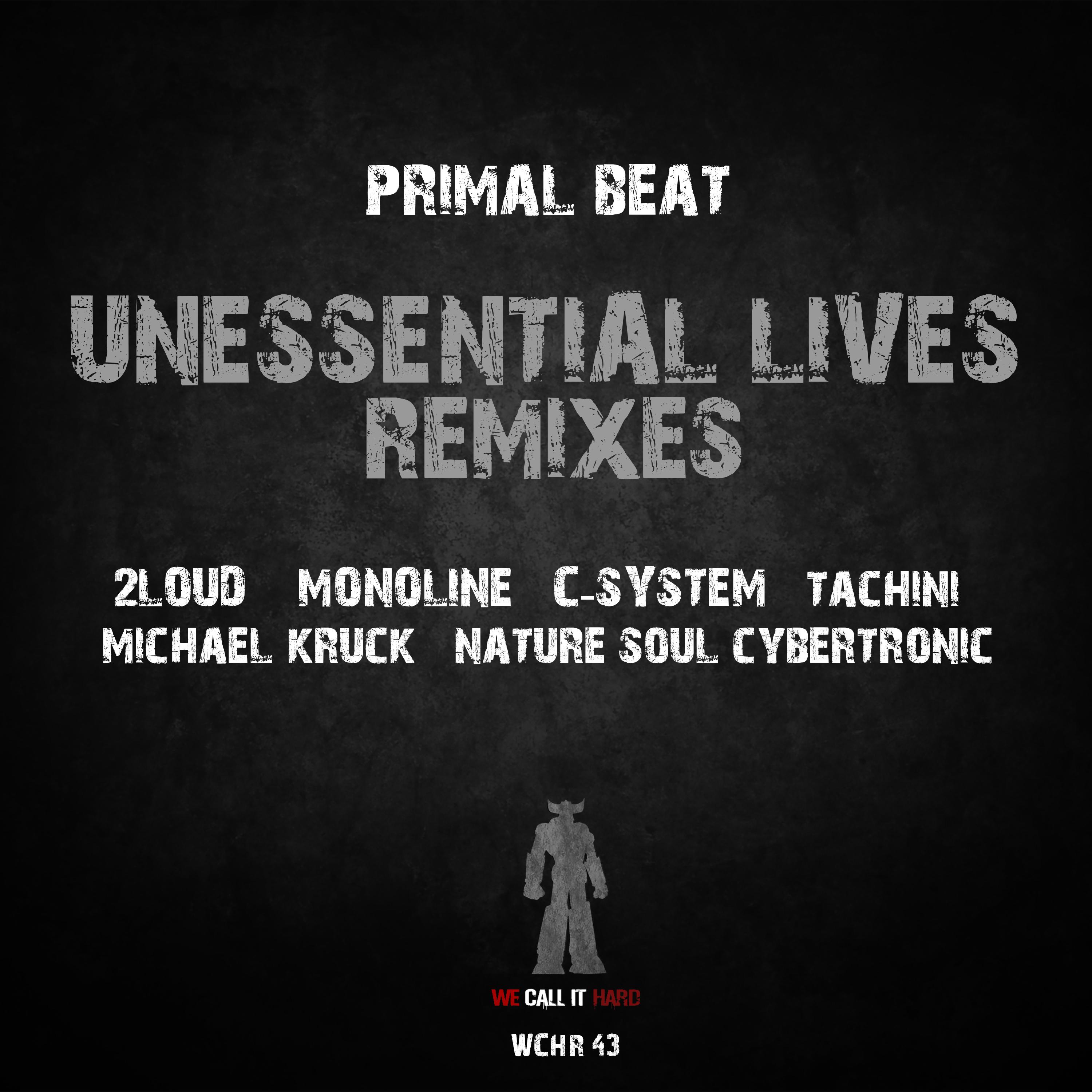 Primal Beat - The Rise and Fall (Nature Soul Cybertronic Remix)