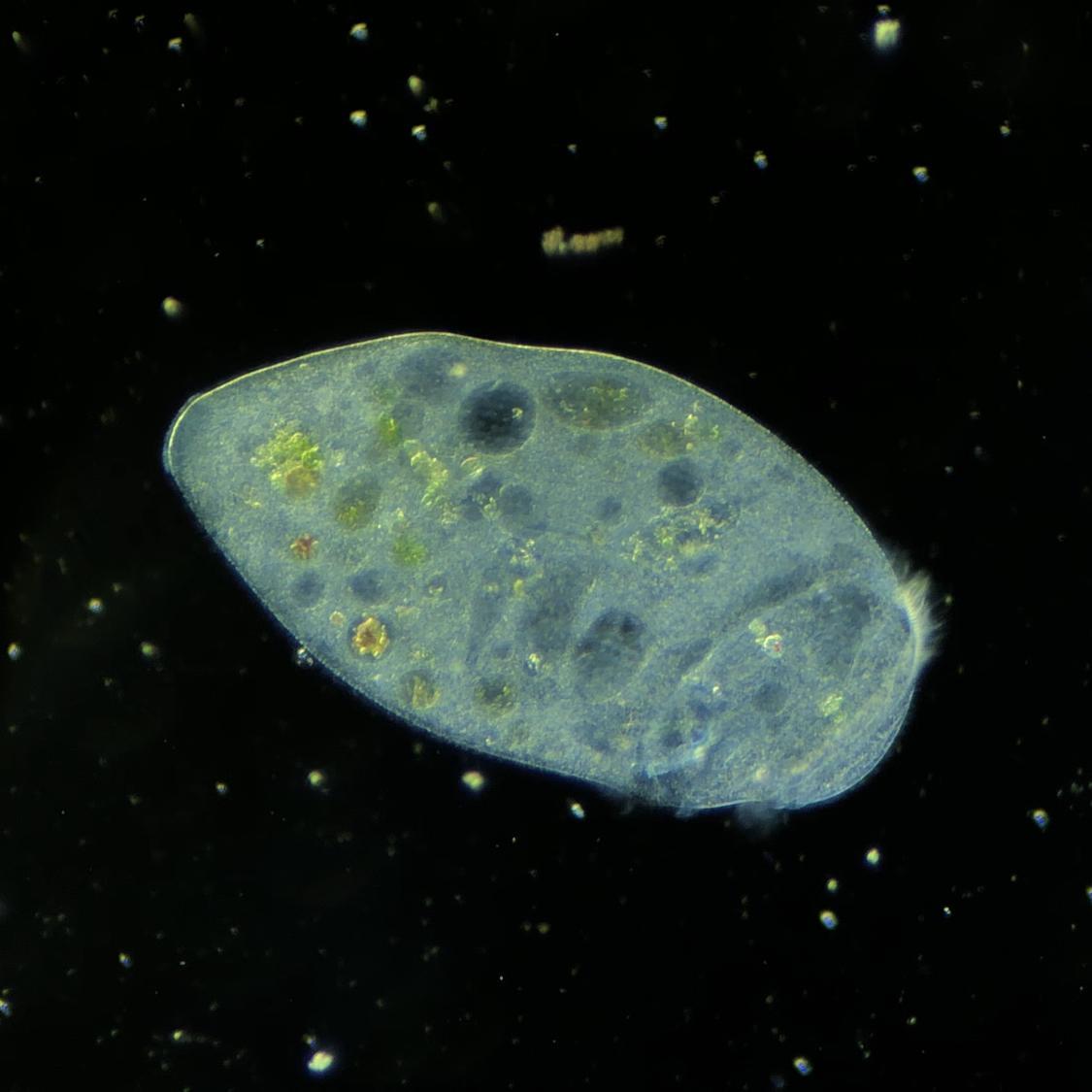 战鼓齐鸣的紧张战场