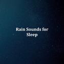 12 Natural Rain Sounds for Sleep, Meditation and Focus专辑