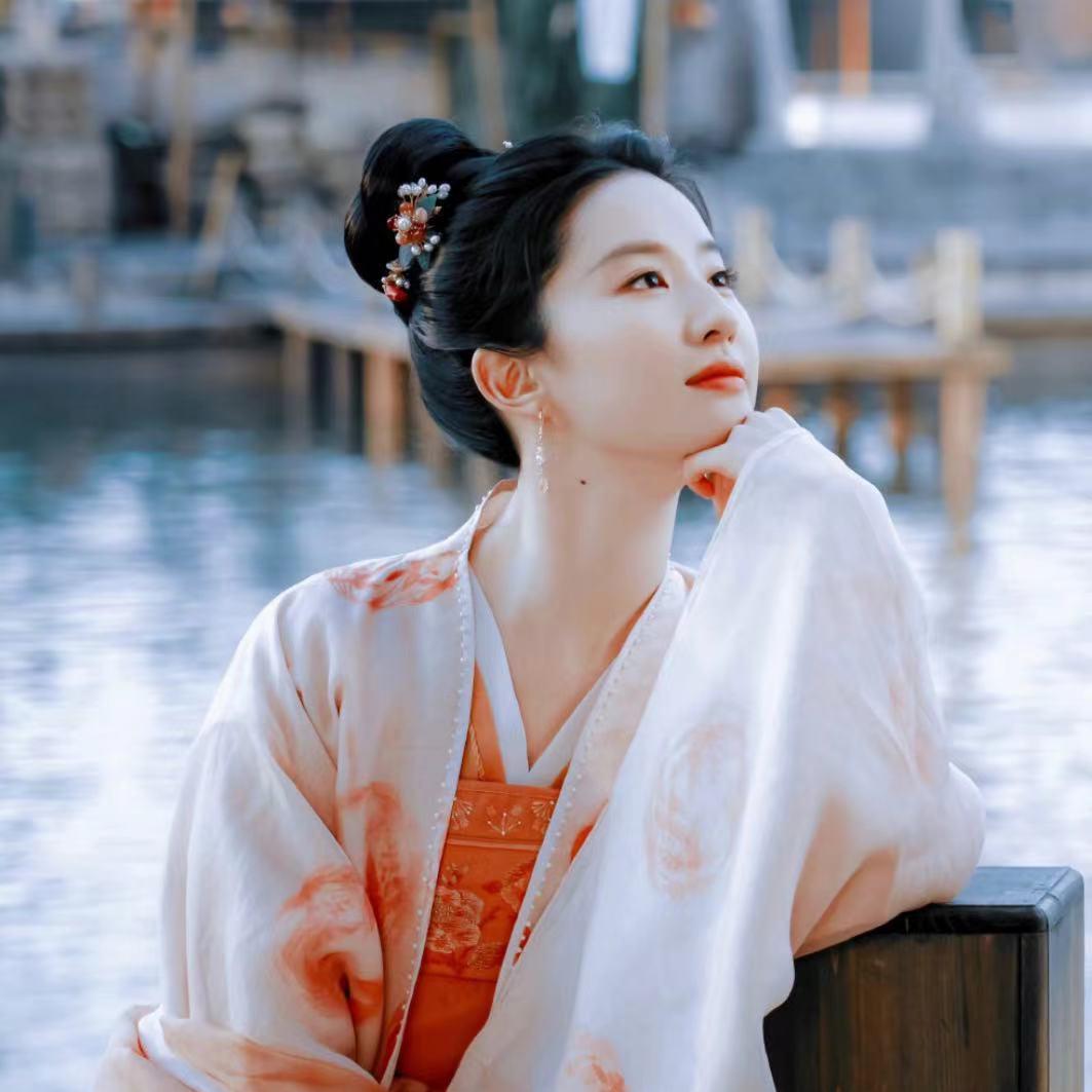 梦华录