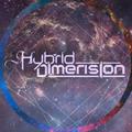 Hybrid Dimension【混合维度】