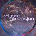 Hybrid Dimension【混合维度】