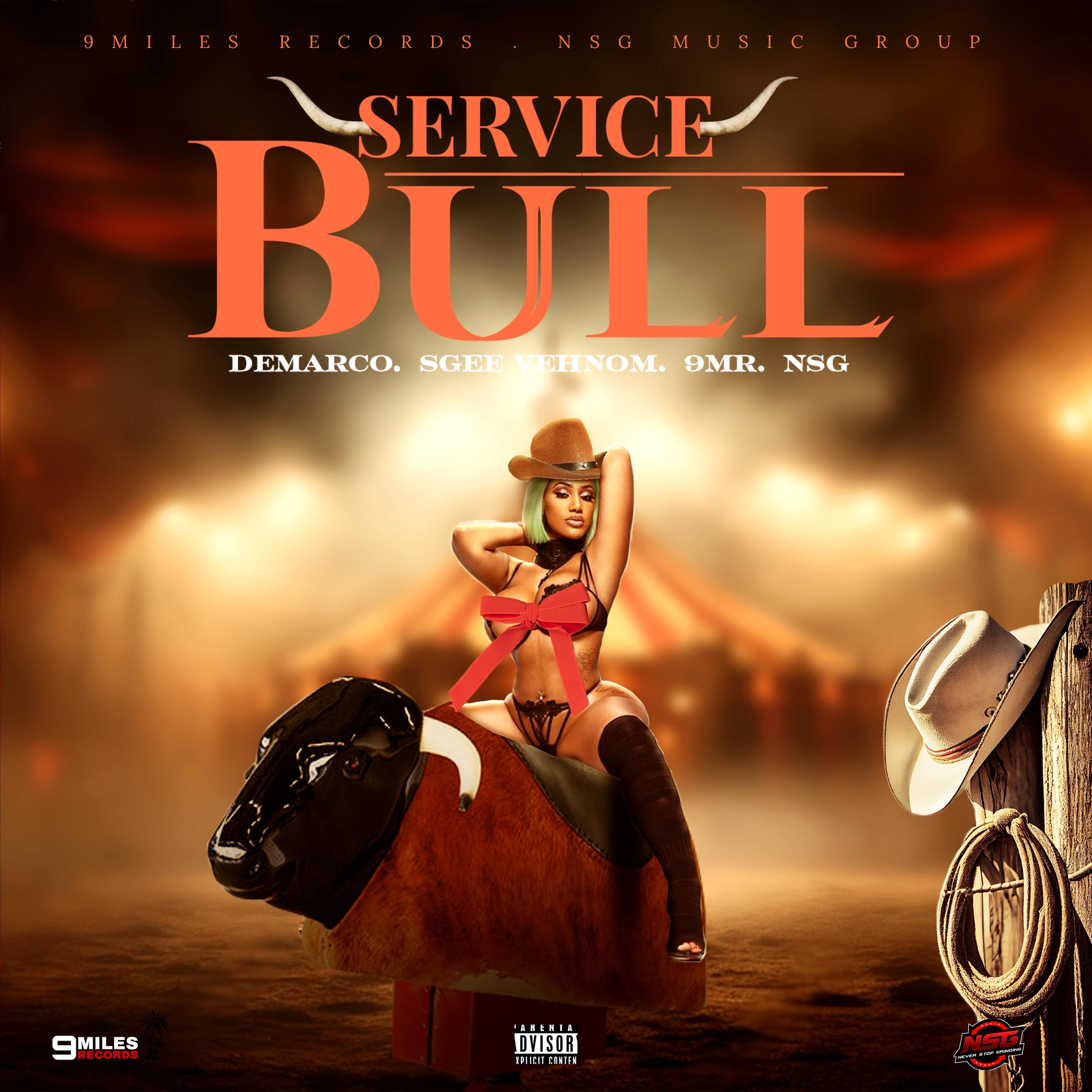 Demarco - Service Bull